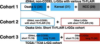 Impact of Inversion Time for FLAIR Acquisition on the T2-FLAIR Mismatch Detectability for IDH-Mutant, Non-CODEL Astrocytomas